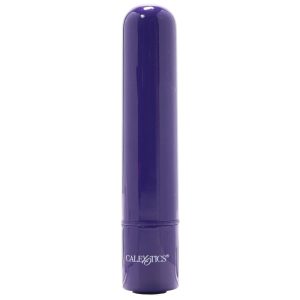 Tiny Teasers Bullet Vibe in Purple
